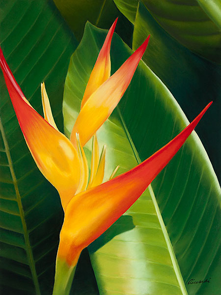 "Heliconia", Pastel Painting